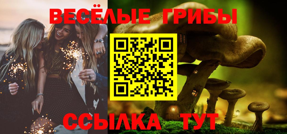 Псилоцибиновые грибы MAGIC MUSHROOMS  закладка  Пенза  Вход с VPN 